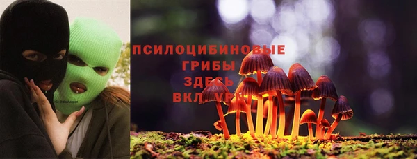 спайс Касимов