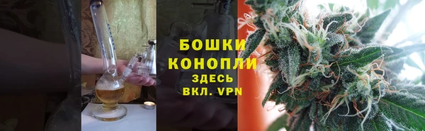 спайс Касимов
