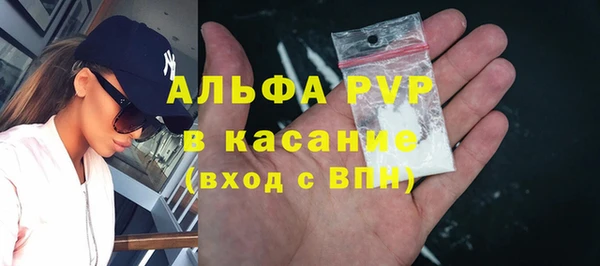спайс Касимов