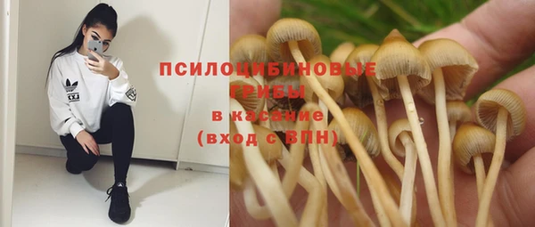 спайс Касимов