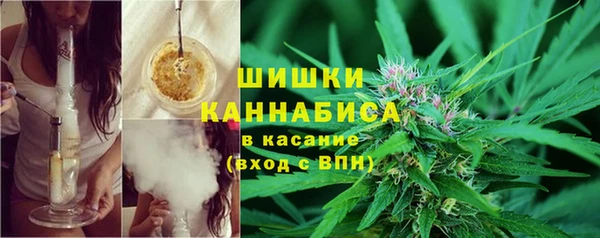 спайс Касимов
