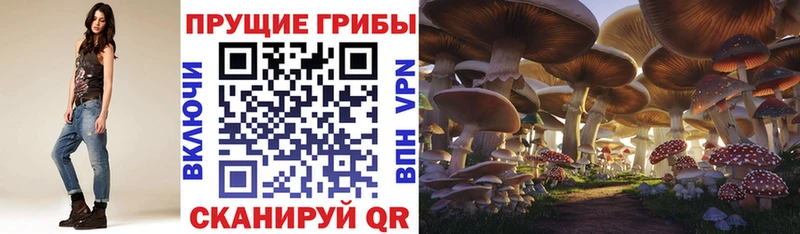 Галлюциногенные грибы Cubensis  Купить  Арсеньев 